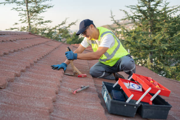 Best Best Roofing Contractors  in Mount Jackson, VA