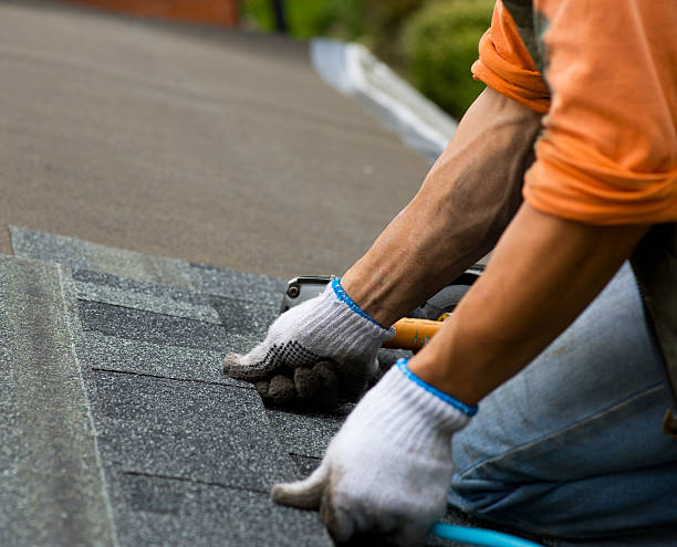 Best Local Roofing Companies  in Mount Jackson, VA
