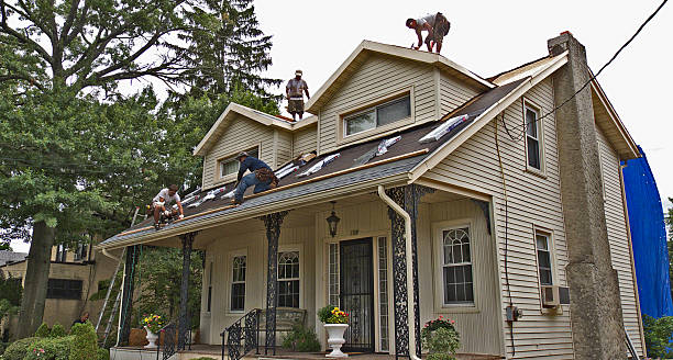 Best Best Roofing Contractors  in Mount Jackson, VA