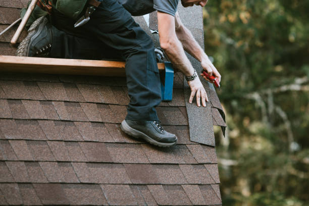 Best Roof Restoration Services  in Mount Jackson, VA